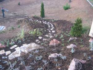 Deo alpinetuma. Krupno kamenje i gusta sadnja daje mogućnost kasnijeg lakšeg održavanja dvorišta.